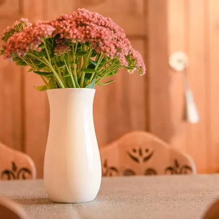 Regionalna Kosolka Homestay szállás